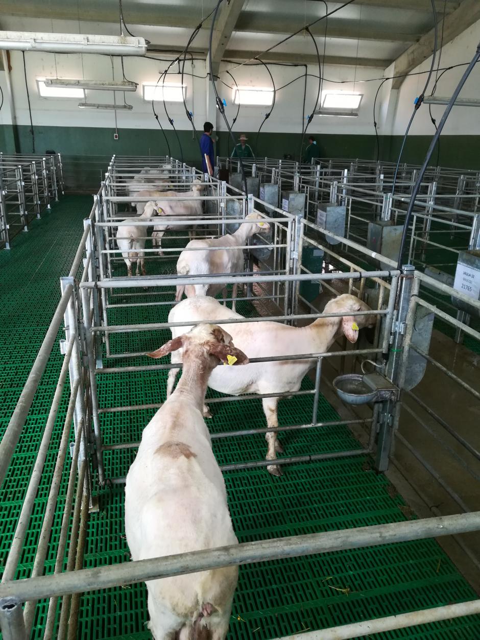 La ULE avanza en el aprovechamiento de los residuos agroindustriales