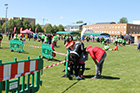 VIII Edición de los 10 Km Universitarios