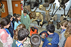 Carnaval de la Biodiversidad 2019