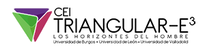 Logo CEI Triangular E3