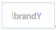 Interactive/Intensive course of European brand management (brandY)