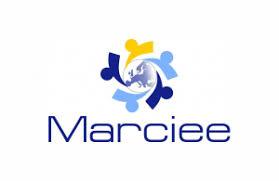 Marketing Communication Innovativeness of European Entrepreneurs (MARCIEE)