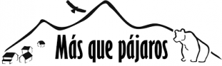 Logo - Más que pájaros